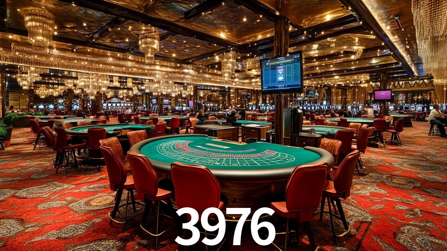 3976.com